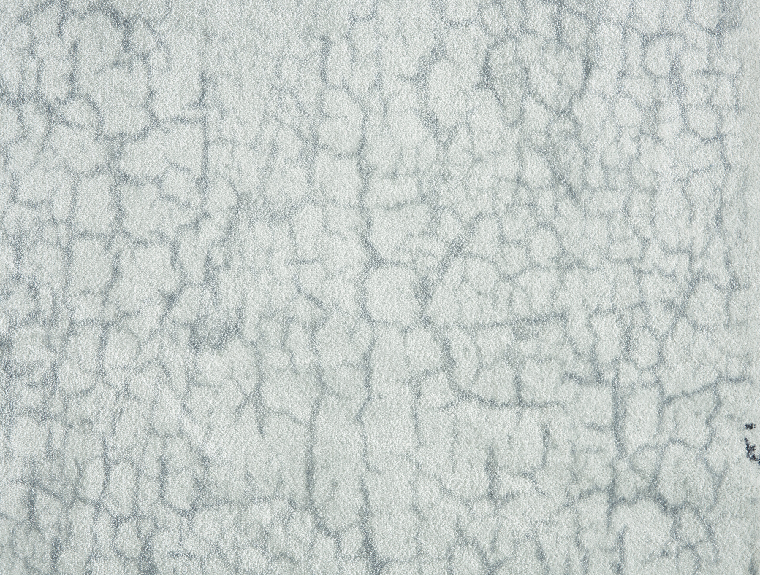 StarryFlicker_Spring