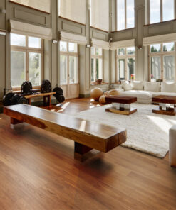 Evolution North American