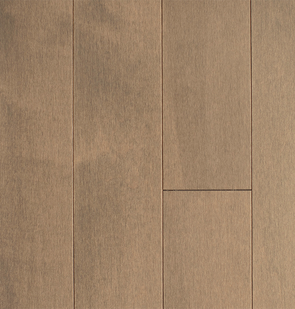 domestic_maple_western