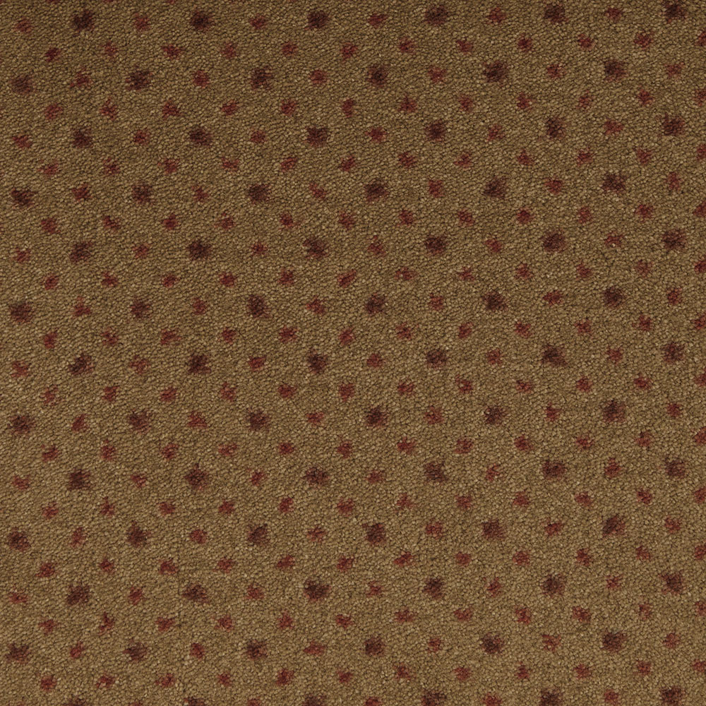 viewpoint_cimarron-l