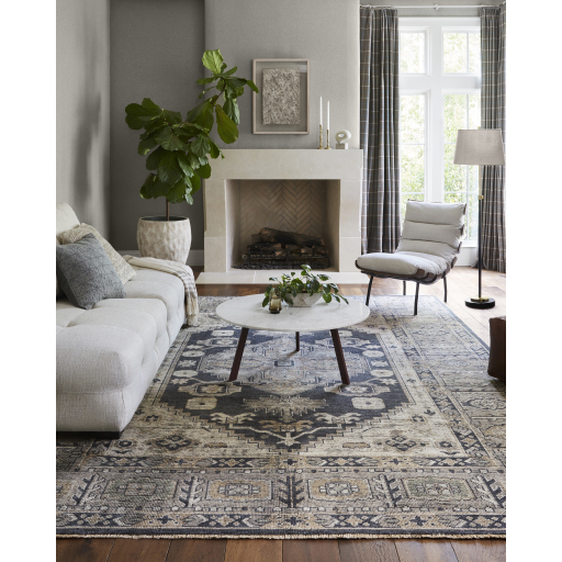 reg2309LargeSize-roomscene_102