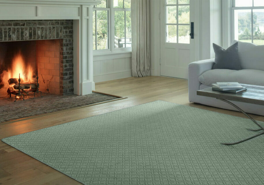 Area-rug-image-1024x640-landscape