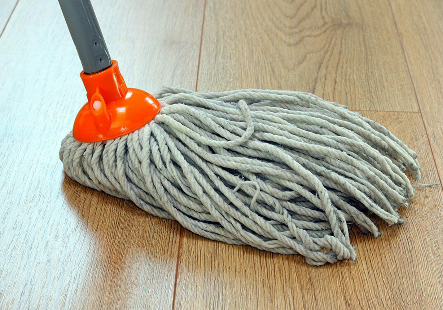 Hardwood-daily-Care--landscape